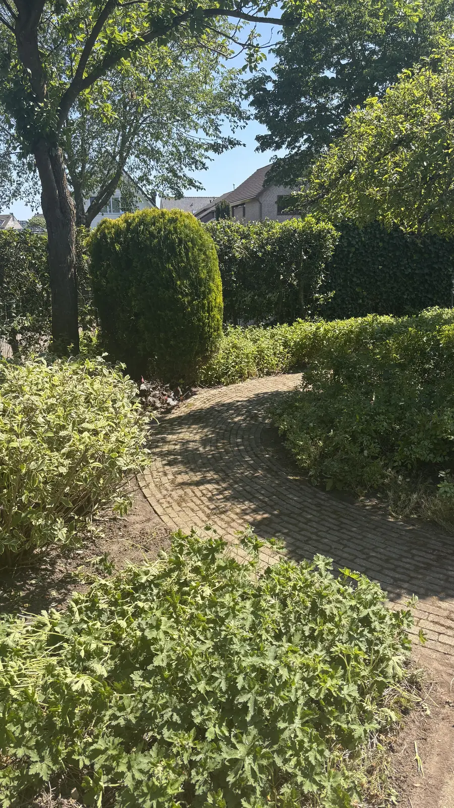 Slingerend klinkerpad tussen volle borders