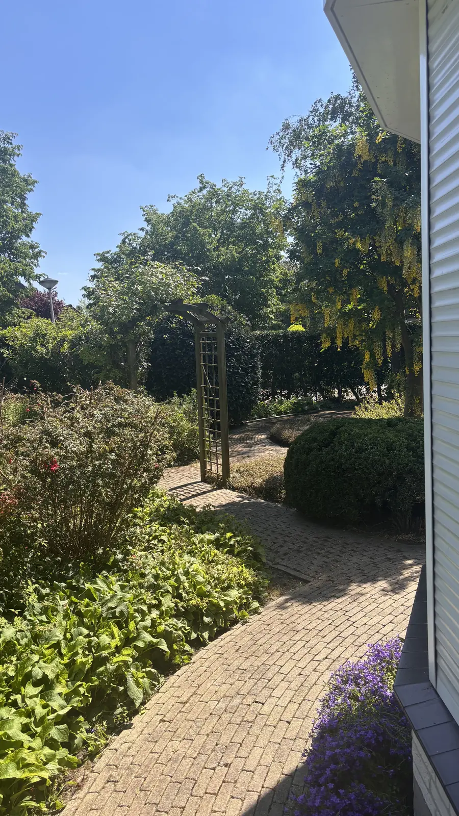 Vijver met natuurstenen rand, omringd door beplanting