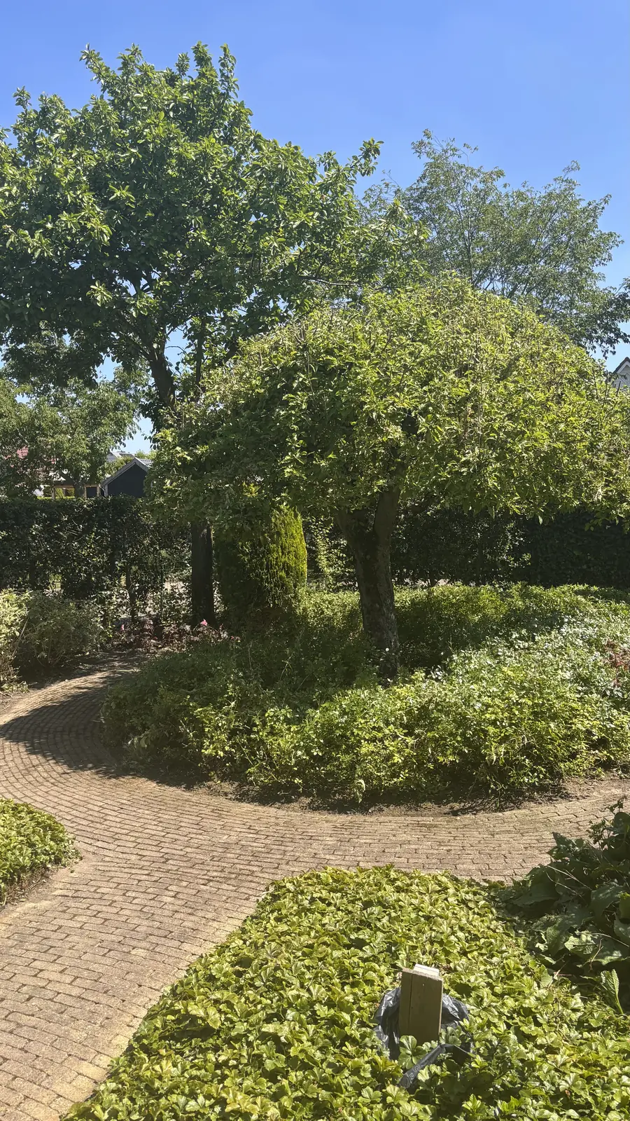 De tuin voor het onderhoud, met de kruiwagen ertussen