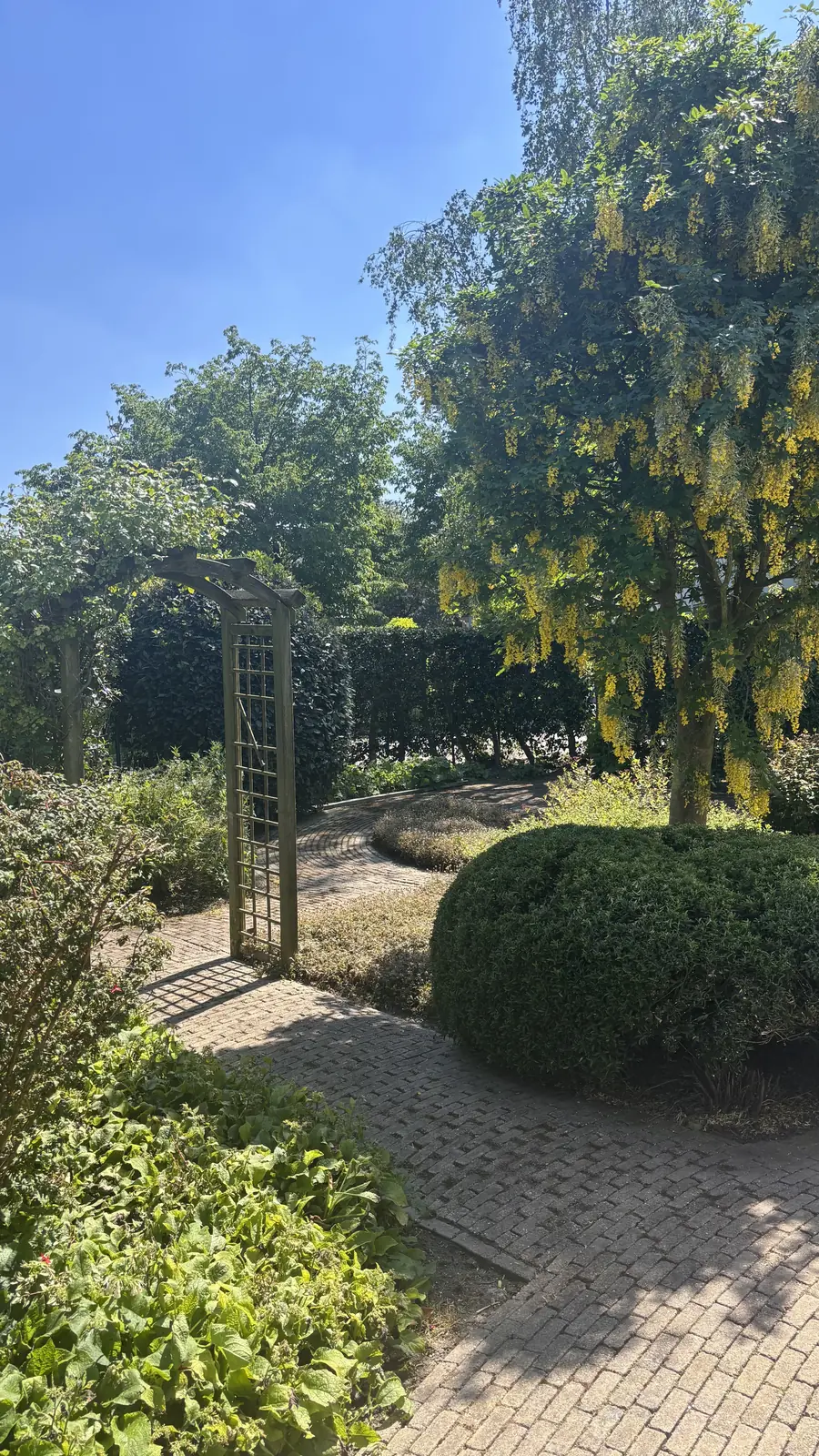 Houten rozenboog boven het klinkerpad