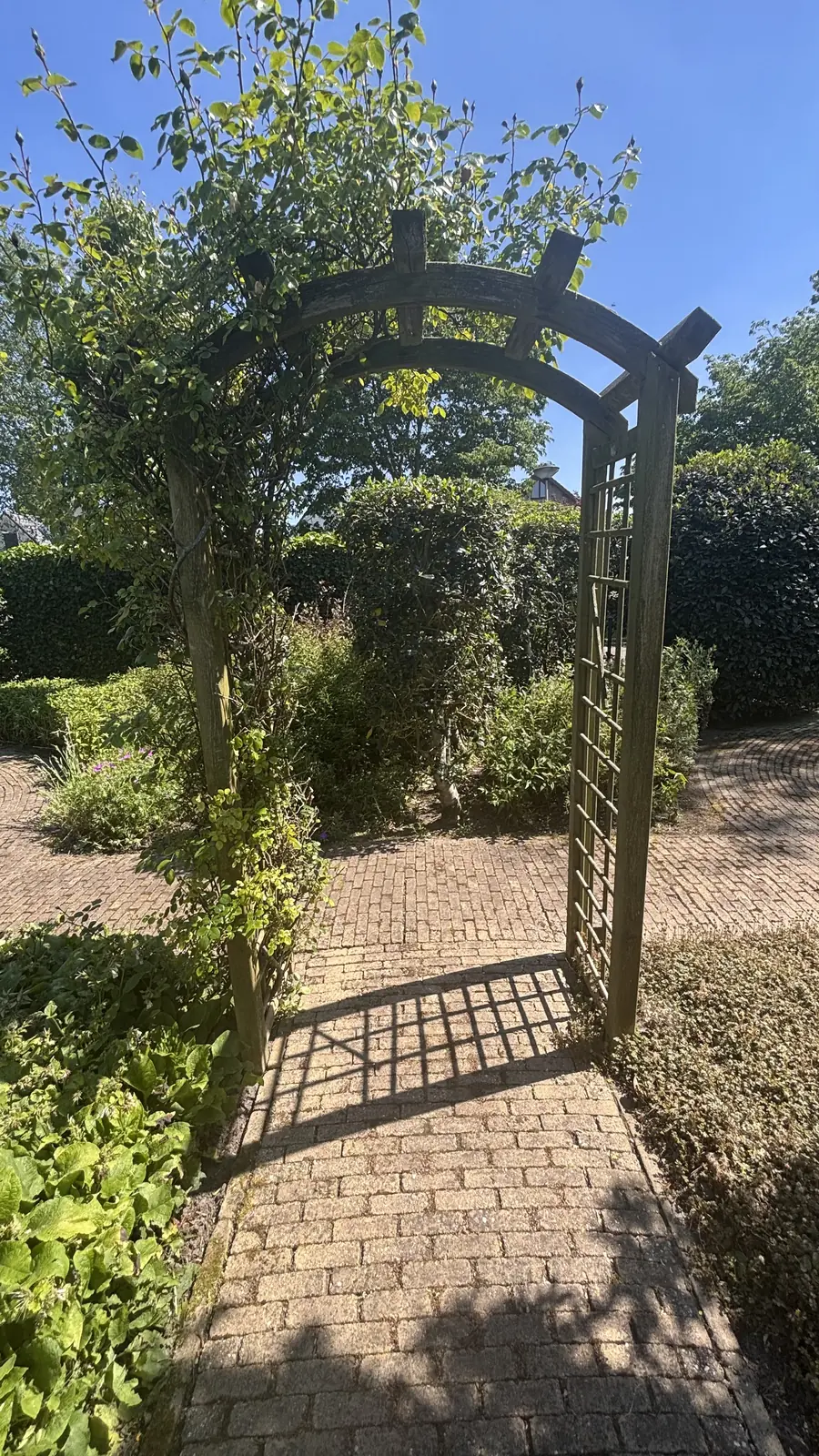Vijver met natuurstenen rand, omringd door beplanting
