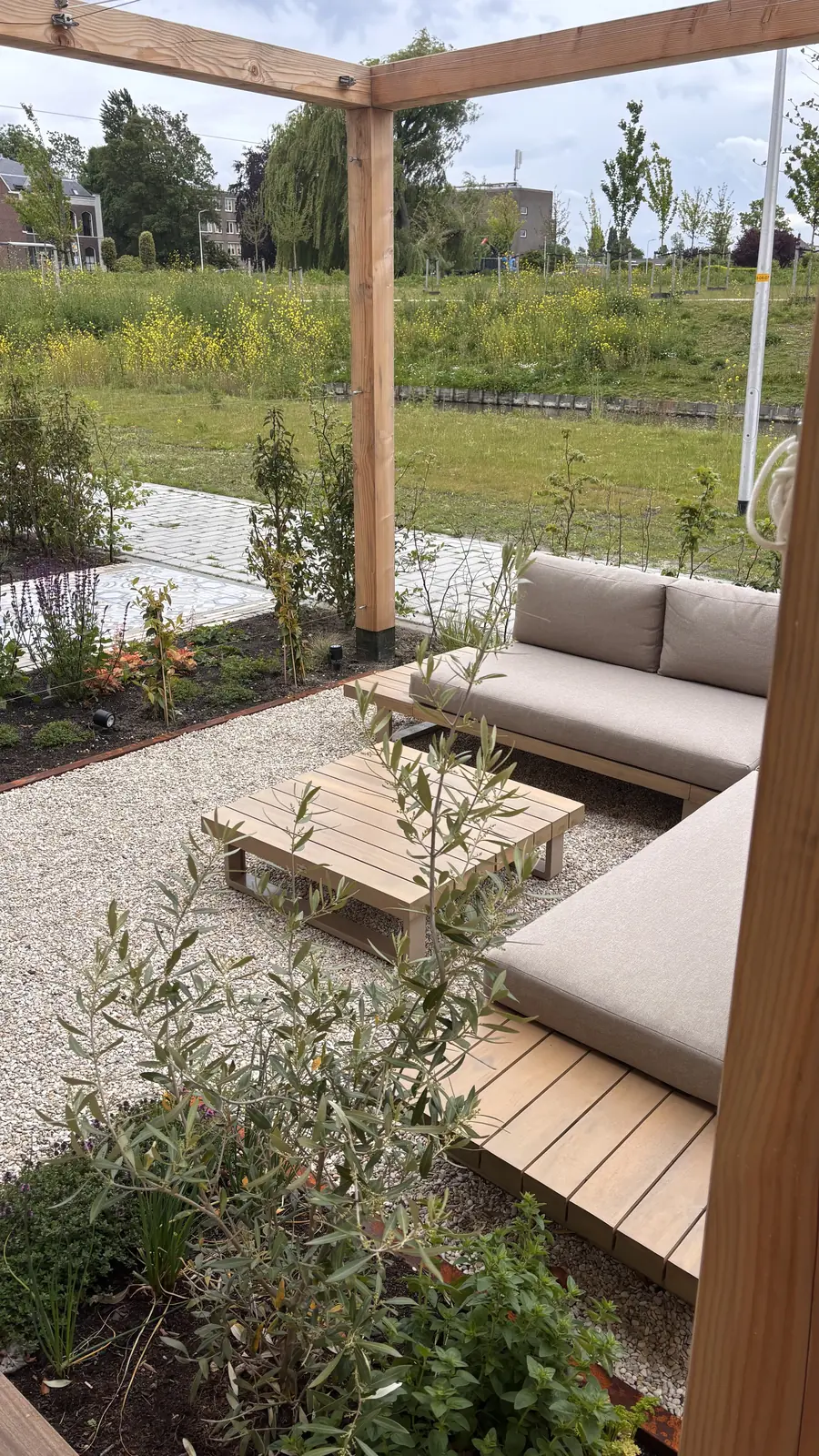 Grindpad langs een border met olijfboom en siergrassen