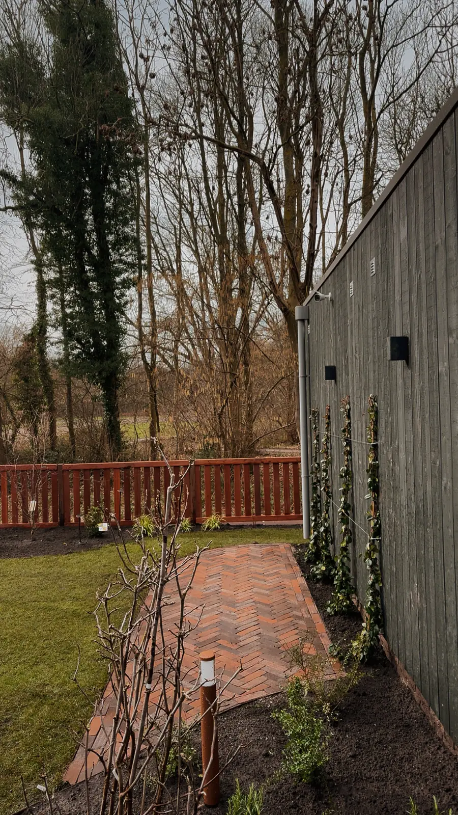 Klinkerpad langs de schutting met jonge klimplanten