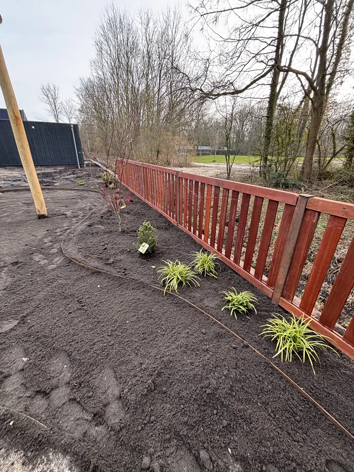 Uitgegraven border met jonge aanplant naast het terras