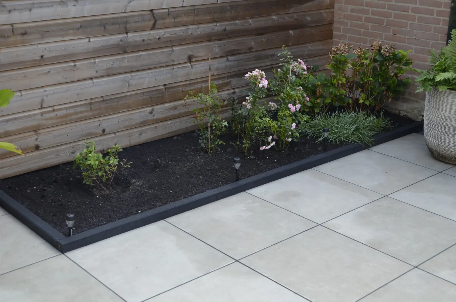 Smalle border met rozen en siergras langs het lichte terras