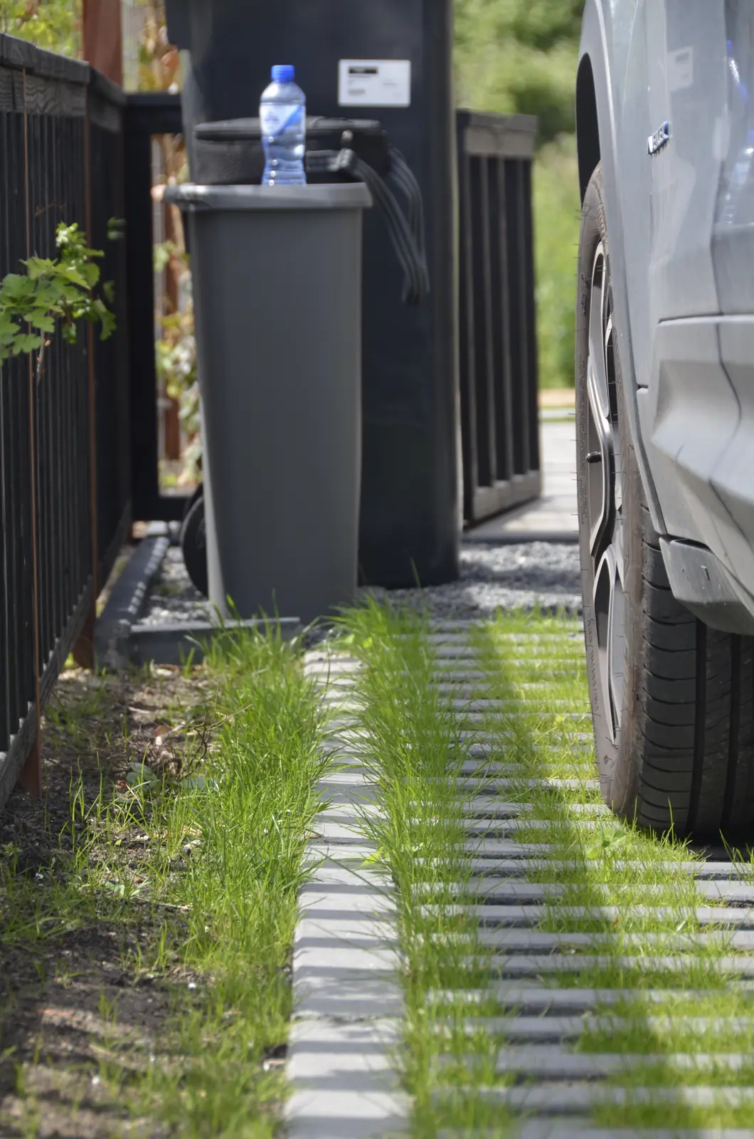 Ronde stapstenen door het gazon naar de vlonder aan het water